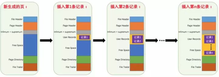 Mysql的基本存储结构是页