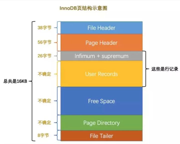 Mysql的基本存储结构是页